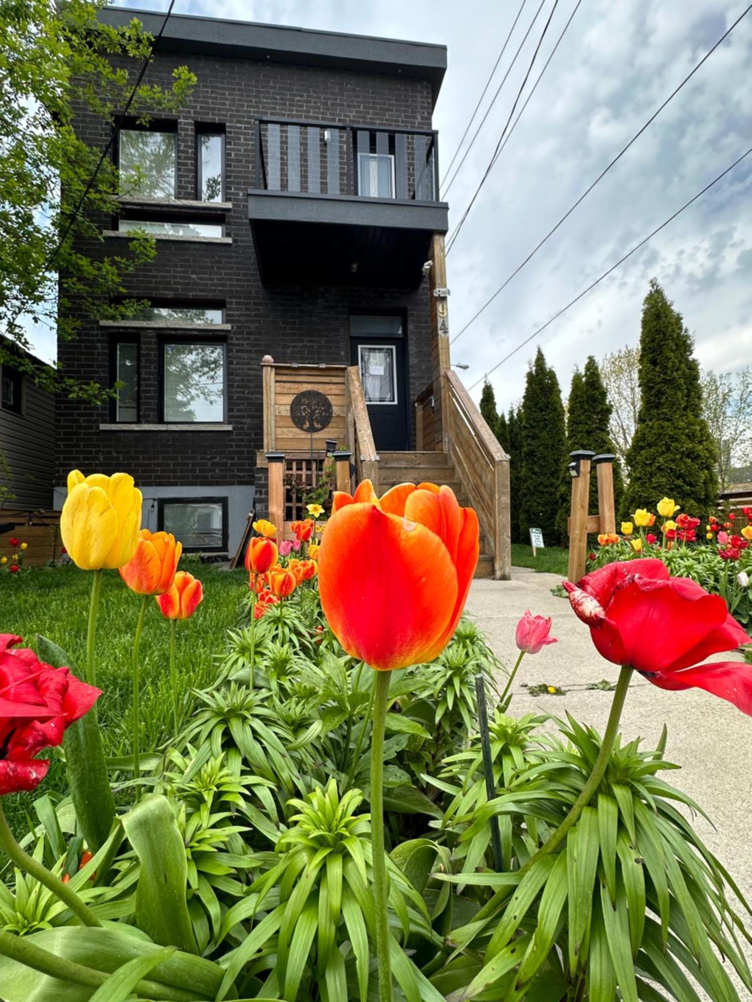 Lower Loft Suite -Space Share Toronto Esterno foto